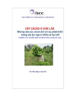 CÂY CACAO ở đắk lắk  những rào cản chính đối với sự phát triển trong các tộc người thiểu số tại chỗ