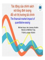 Bài giảng tác động của chính sách nới lỏng định lượng đối với thị trường tài chính