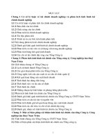 phân tích một số chỉ tiêu tài chính căn bản và biện pháp cải thiện tình hình tài chính của tổng công ty cntt nam triệu