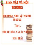 Giáo án tham khảo Sinh học lớp 9 Tiết 41 Môi trường và các nhân tố sinh thái tham khảo
