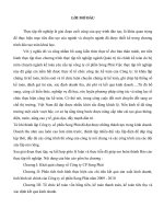 tổ chức kế toán vốn bằng tiền, kế toán thanh toán, kế toán tiêu thụ và xác định kết quả kinh doanh tại lập công ty cổ phần song phát