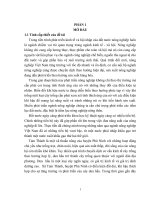 đánh giá hiệu quả mô hình trồng dưa hấu phủ bạc – trường hợp nghiên cứu tại xã tam thành, huyện phú ninh, tỉnh quảng nam