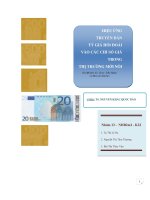 Tiểu luận: Hiệu ứng truyền dẫn tỷ giá hối đoái vào các chỉ số giá trong thị trường mới nổi