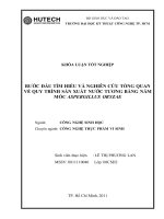 LUẬN VĂN CÔNG NGHỆ SINH HỌC BƯỚC ĐẦU TÌM HIỂU VÀ NGHIÊN CỨU TỔNG QUAN  VỀ QUY TRÌNH SẢN XUẤT NƯỚC TƯƠNG BẰNG NẤM MỐC ASPERGILLUS ORYZAE