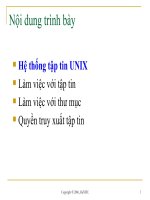Hệ thống tập tin Unix