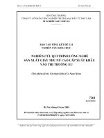Đề tài : Nghiên cứu qui trình công nghệ sản xuất giày thu nữ cao cấp xuất khẩu vào thị trường EU