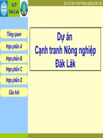 dự án cạnh tranh nông nghiệp đăk lăk