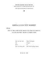Đầu tư trực tiếp nước ngoài vào lĩnh vực dịch vụ của hà nội   thực trạng và giải pháp