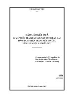 Báo cáo hiện trạng môi trường vùng dân tộc và miền núi