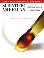 scientific american   -  1996 10  -  hell's cells