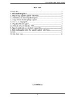 Các giải pháp cho vận tải bảo hiểm ngoại thương