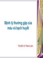 bệnh lý thường gặp của máu và bạch huyết