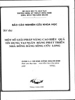 Một số giải pháp nâng cao hiệu quả tín dụng ngân hàng tại ngân hàng phát triển nhà đồng bằng sông cửu long