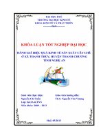 Đánh giá hiệu quả kinh tế sản xuất cây chè ở xã thanh thủy huyện thanh chương tỉnh nghệ an