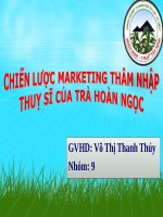 chiến lược marketing xâm lược thị trường thụy sĩ của trà hoàn ngọc 7 nga