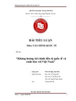 Tiểu luận: Khủng hoảng tài chính tiền tệ quốc tế và cảnh báo với Việt Nam