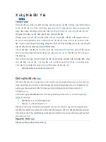 xử lý nền đất yếu