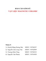 Báo cáo kỹ thuật vật liệu magnetic ceramic