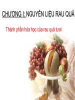 CHƯƠNG 1 NGUYÊN LIỆU RAU CỦ QUẢ-THÀNH PHẦN HÓA HỌC