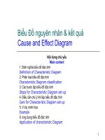 Cách xác định biểu đồ nguyên nhân kết quả trong quản lý