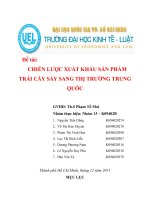 Tiểu luận chiến lược xuất khẩu sản phẩm trái cây sấy sang thị trường Trung quốc