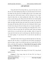 hoàn thiện kế toán nguyên vật liệu tại công ty tnhh đầu tư nam việt