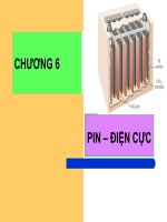 pin điện cực
