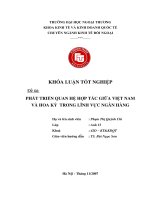 Phát triển quan hệ hợp tác giữa việt nam và hoa kỳ trong lĩnh vực ngân hàng