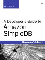 a developers guide to amazon simpledb