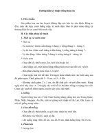 Hướng dẫn kỹ thuật trồng hoa cúc