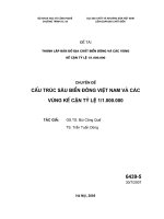 thành lập bản đồ địa chất biển đông và các vùng kế cận tỷ lệ 1-1.000.000 - cấu trúc sâu biển đông việt nam và các vùng kế cận tỷ lệ 1-1.000.000
