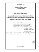 Giải pháp khai thác các thị trường trung chuyển nhằm phát triển xuất khẩu hàng hoá của việt nam
