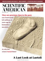 scientific american   -  1998 09  -  a last look at laetoli