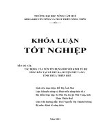 tác động của vốn tín dụng đối với kinh tế hộ nông dân tại xã phú đa, huyện phú vang, tỉnh thừa thiên huế