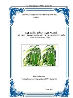 Tài liệu đào tạo nghề Kỹ thuật trồng, chăm sóc và thu hoạch cây tiêu: Phần I - Sở NN&PTNT Quảng Trị