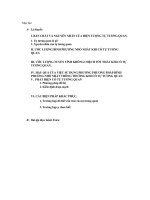 Hiện tượng tự tương quan trong kinh tế lượng