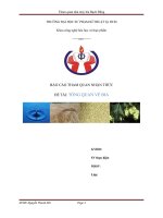 Tổng Quan Về Bia