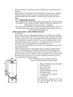 rượu vang có gas