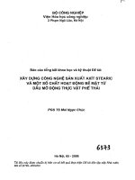 Xây dựng công nghệ sản xuất axit stearic và một số chất hoạt động bề mặt từ dầu mỡ động vật phế thải