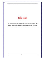Tiểu luận: Ảnh hưởng của luật đầu tư 2005 đối với đầu tư trong nước và đầu tư nước ngoài ở các khu công nghiệp, khu chế xuất tại Việt Nam