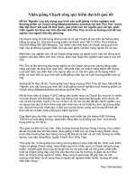 Nhân giống Chạch sông quý hiếm đạt kết quả tốt