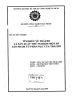 Tìm hiểu về trái bơ và sản xuất thử nghiệm một số sản phẩm từ phần nạc của bơ