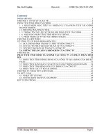 Báo cáo tốt nghiệp: Phân tích tình hình tài chính Công ty Cổ phần Phần mềm D2S