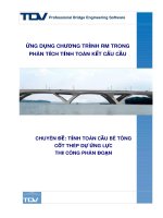 Ứng dụng chương trình RM trong phân tích tính toán kết cấu cầu