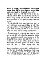 Gluxit là nguồn cung cấp năng lượng quan trọng