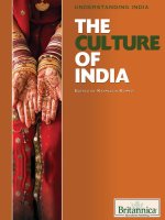 the culture of india (understanding india)