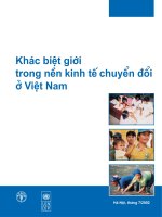 khác biệt giới trong nền kinh tế chuyển đổi ở việt nam