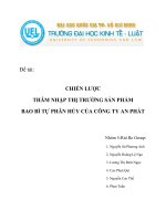 Tiểu luận chiến lược thâm nhập thị trường sản phẩm bao bì tự phân hủy của công ty An phát