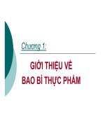 bài giảng bao bì phụ gia thực phẩm chương 1 giới thiệu về bao bì thực phẩm