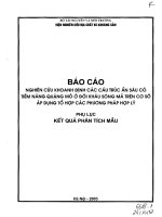 nghiên cứu khoanh định các cấu trúc ẩn sâu có tiểm năng quặng mỏ ở đới sông mã trên cơ sở áp dụng tổ hợp các phương pháp hợp lý - phụ lục